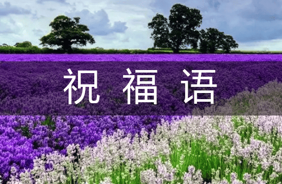 2025年端午节的经典祝福语(132句)