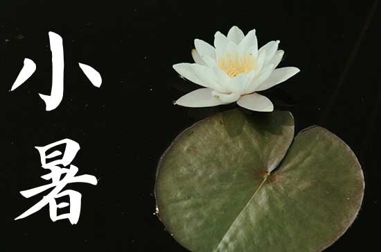 2023年小暑生日好不好 小暑生日的人是什么星座